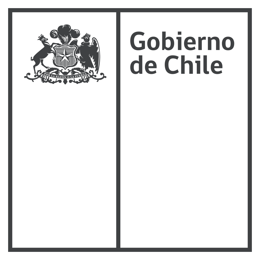 Gobierno de chile2